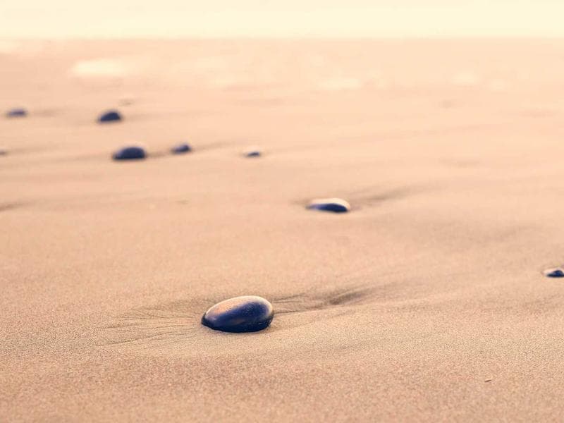 Ray-Ban Sunglasses Aviator