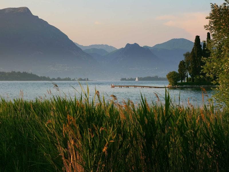 Engagement Ring 1 Carat Diamond