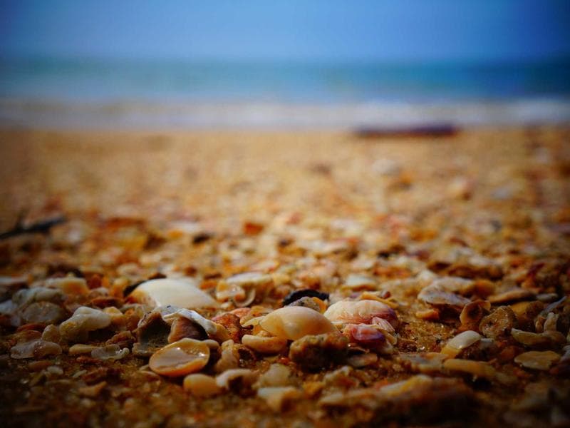 Engagement Ring 1 Carat Diamond - Thumbnail 2