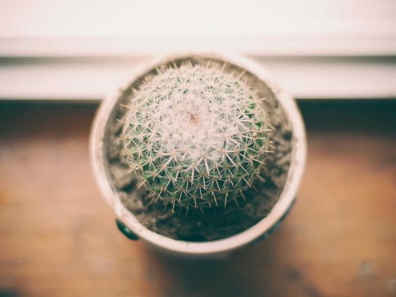 Chicco Car Seat 0-18kg - Thumbnail 2