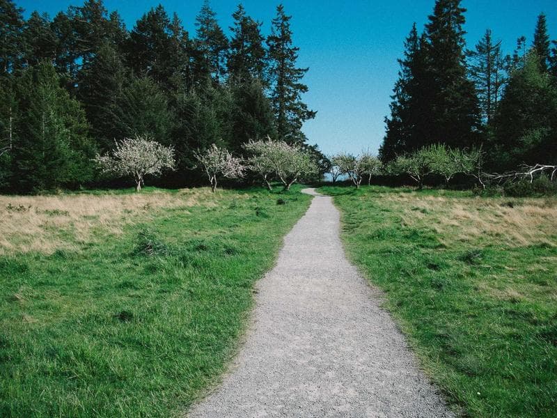 Outdoor Swing Set - Thumbnail 3