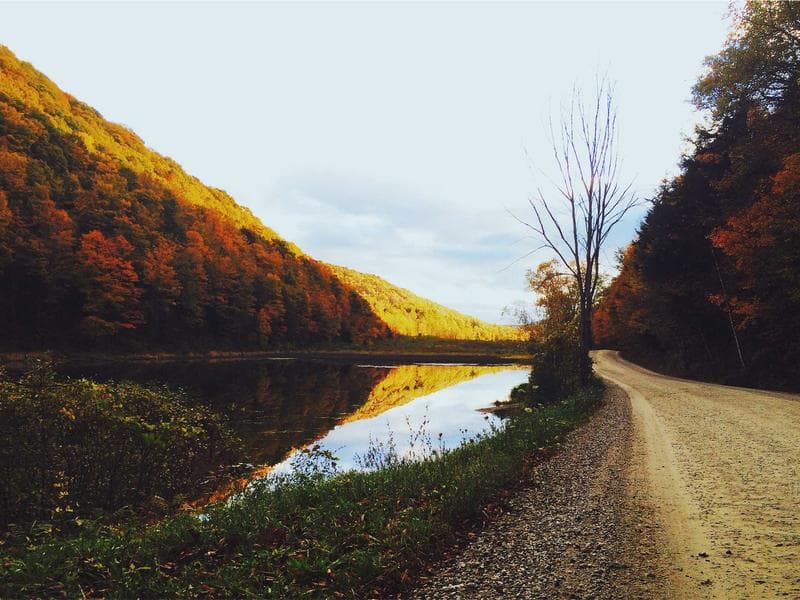 Yamaha Acoustic Guitar FG800