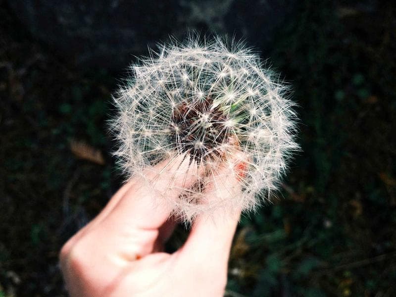 Fender Stratocaster Electric Guitar - Thumbnail 3