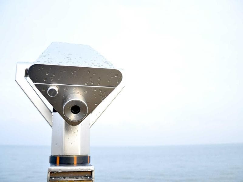 Yamaha Violin 4/4 Size