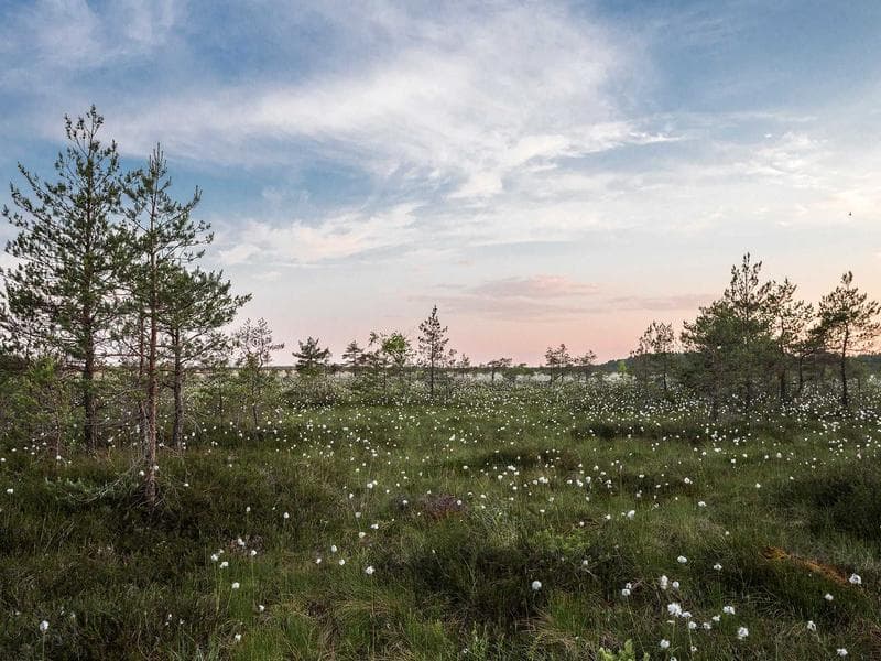 Miscellaneous Items Bundle - Thumbnail 3