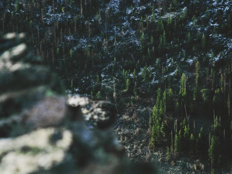 Estate Sale Collection - Thumbnail 3