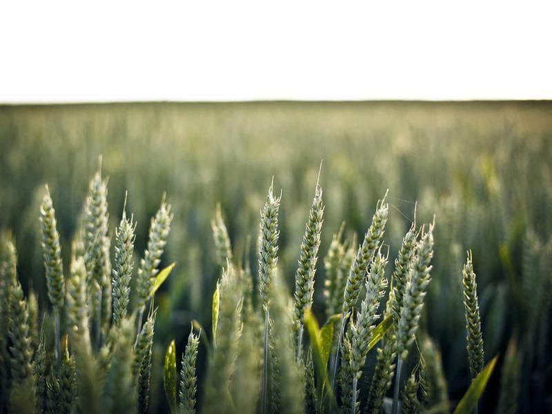 Vintage Items Assorted