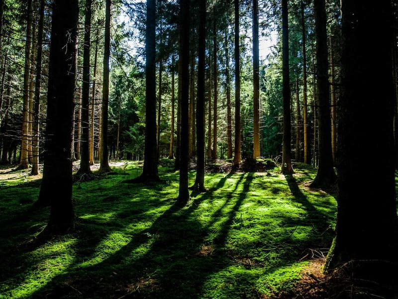 Vintage Items Assorted - Thumbnail 2