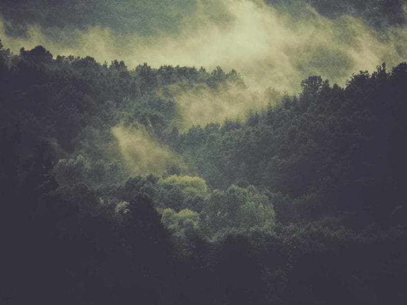 Vintage Items Assorted - Thumbnail 2