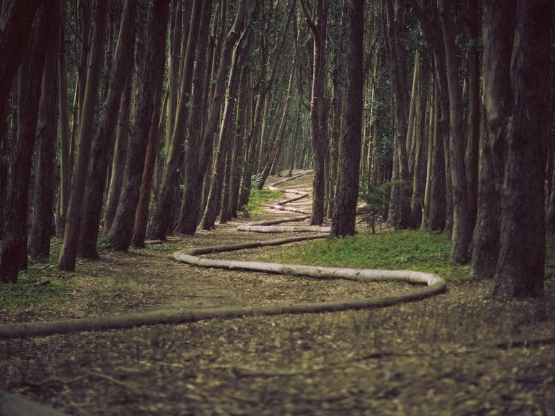 Bulk Purchase Mixed Goods - Thumbnail 3