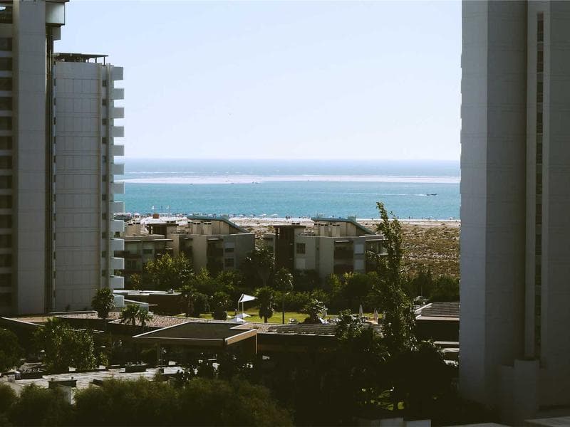 Golden Retriever Puppies - Thumbnail 2