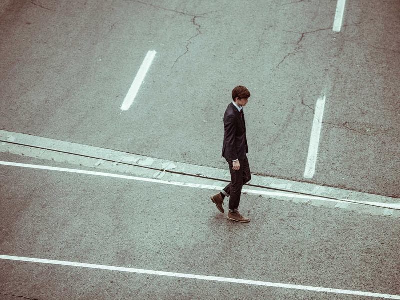 British Shorthair Kitten - Thumbnail 2