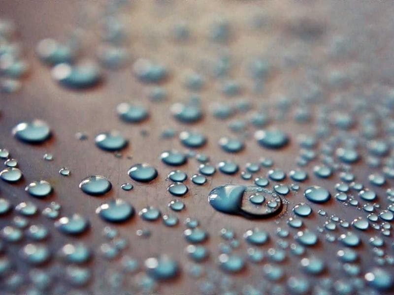 Aquarium 200L Complete Setup - Thumbnail 3