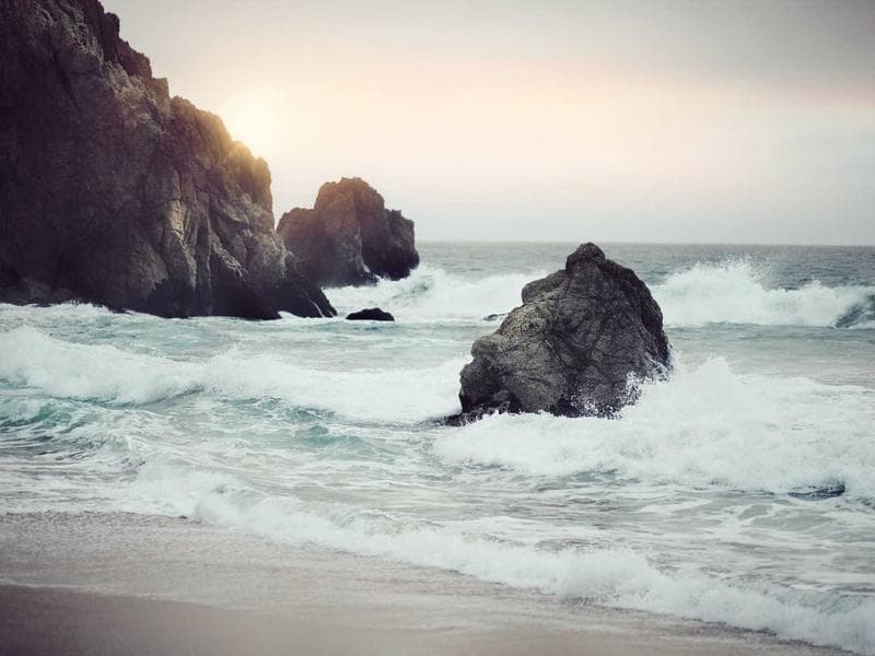 Aquarium 200L Complete Setup - Thumbnail 3