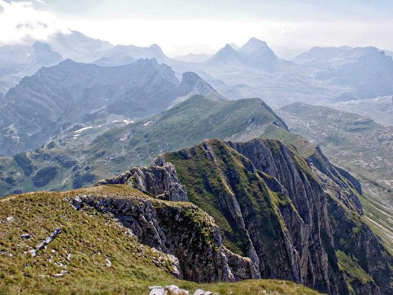 Cat Tower Scratching Post