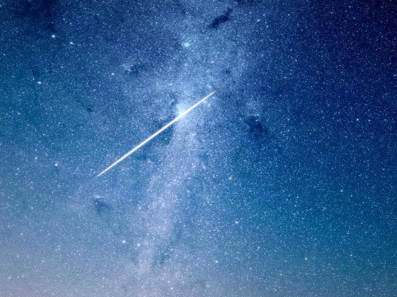 Pet Carrier Travel Bag