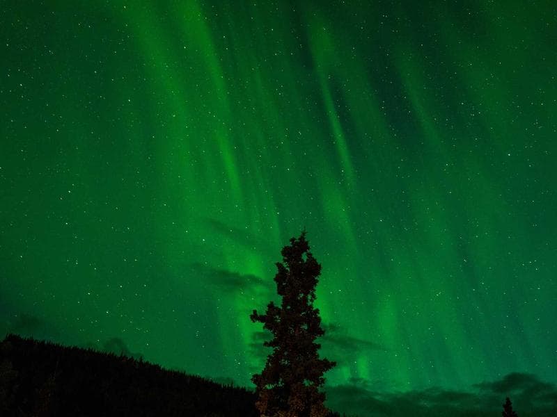 Pet Carrier Travel Bag - Thumbnail 3