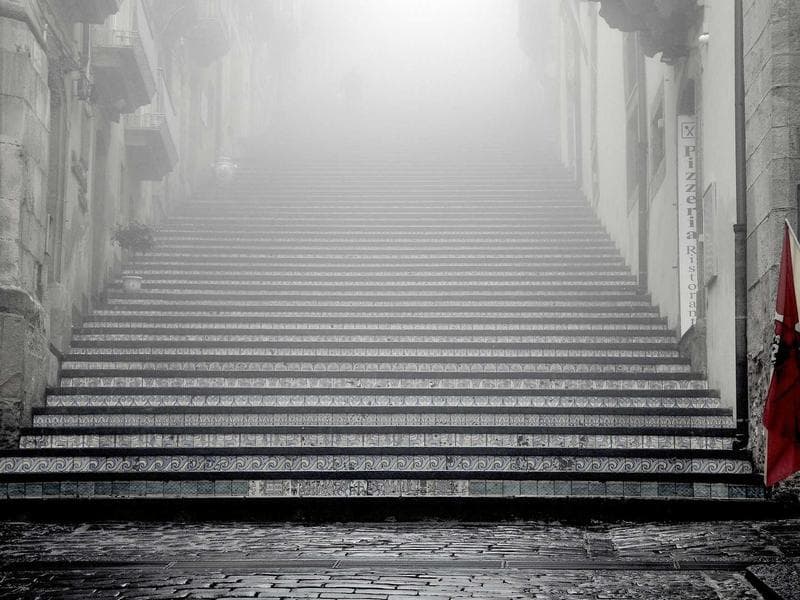 Dog Bed Memory Foam XL