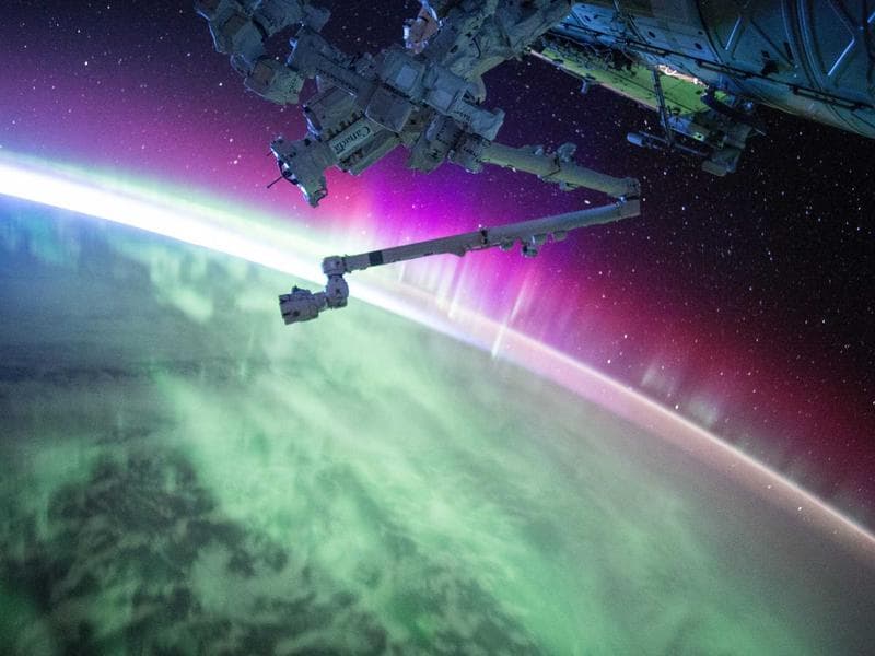 Dog Bed Memory Foam XL