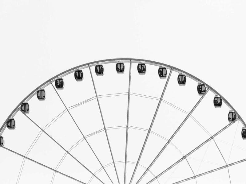 Dog Bed Memory Foam XL - Thumbnail 3