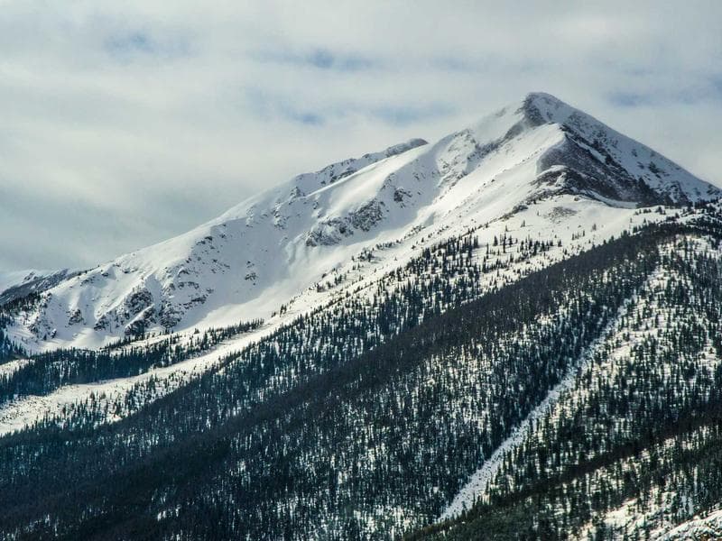 Bird Cage with Stand - Thumbnail 2