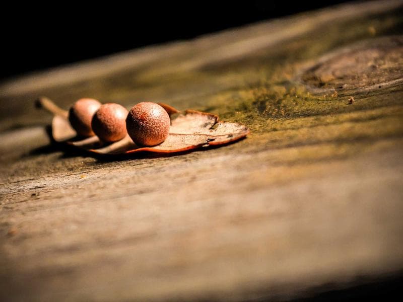 2-Bedroom Apartment Downtown