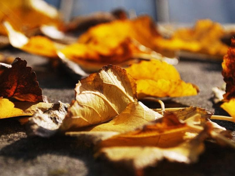 2-Bedroom Apartment Downtown