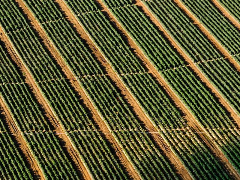 Cozy Studio 35m² City Center