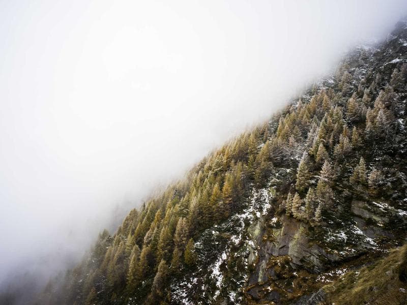 Commercial Property Warehouse - Thumbnail 3