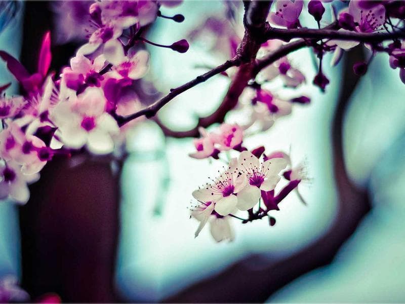 Renovated Flat 4th Floor - Thumbnail 2