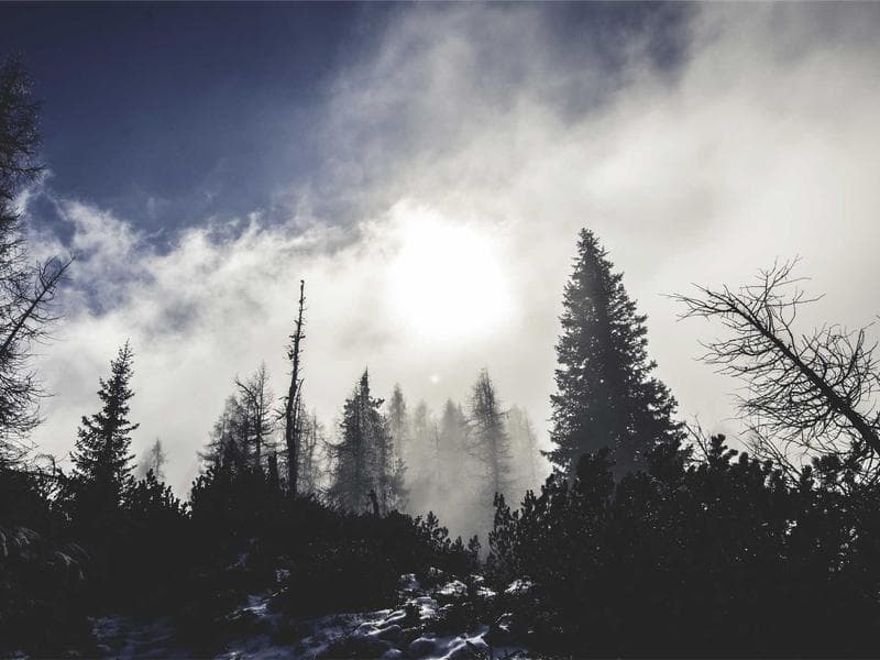 Renovated Flat 4th Floor - Thumbnail 3