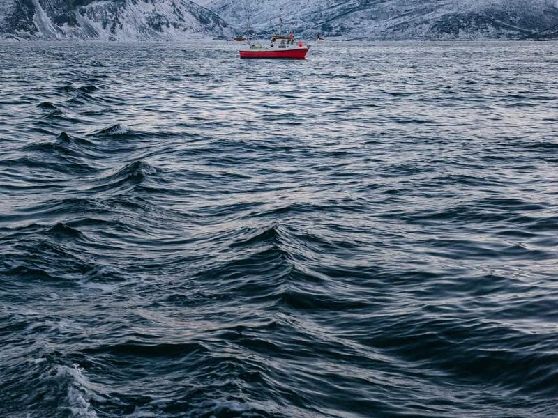 Moving Service with Truck - Thumbnail 2