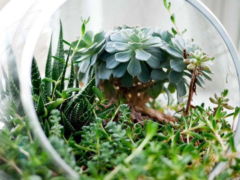 Painting & Decorating - Thumbnail 2