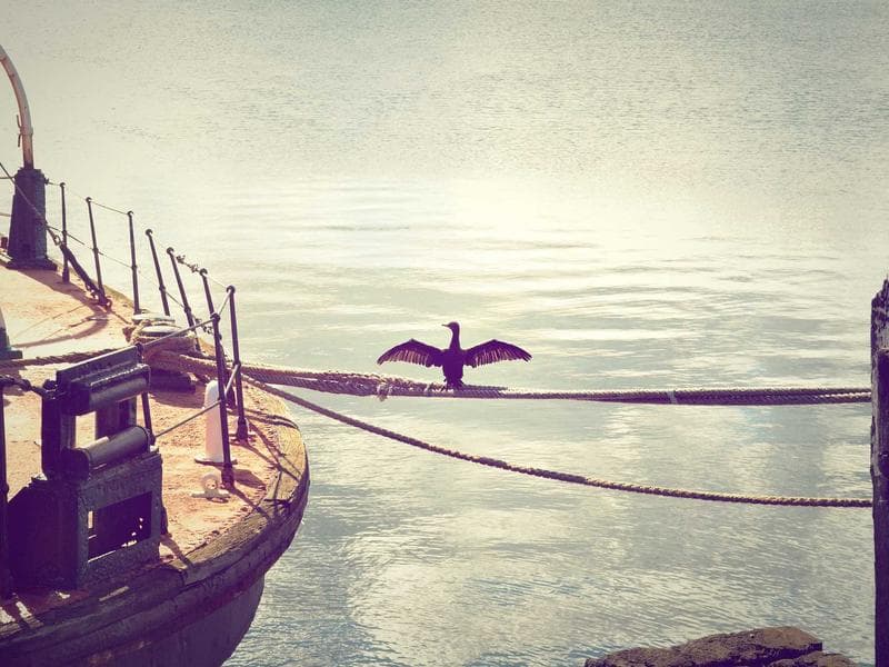 Painting & Decorating - Thumbnail 3