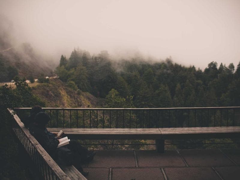 Painting & Decorating - Thumbnail 3