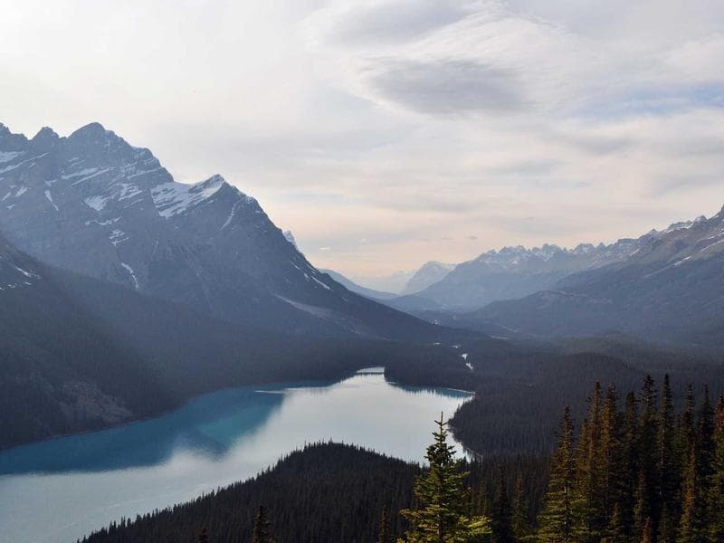 Computer Repair & IT Support