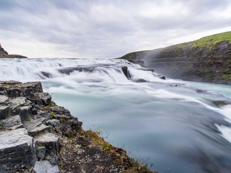 Pet Grooming Service - Thumbnail 2