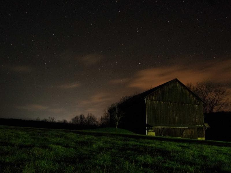 Pet Grooming Service - Thumbnail 2