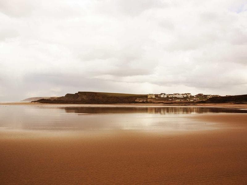 Trek Mountain Bike 29"