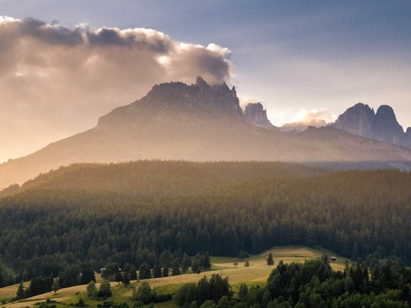 Trek Mountain Bike 29" - Thumbnail 3