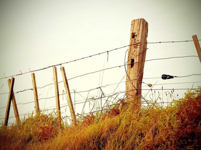 Adidas Football Size 5 - Thumbnail 2