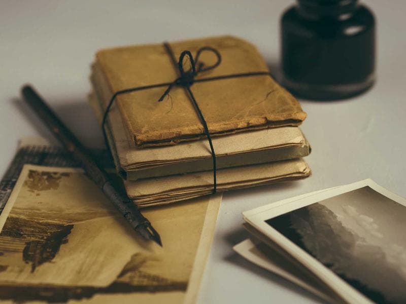 Boxing Gloves Everlast 12oz