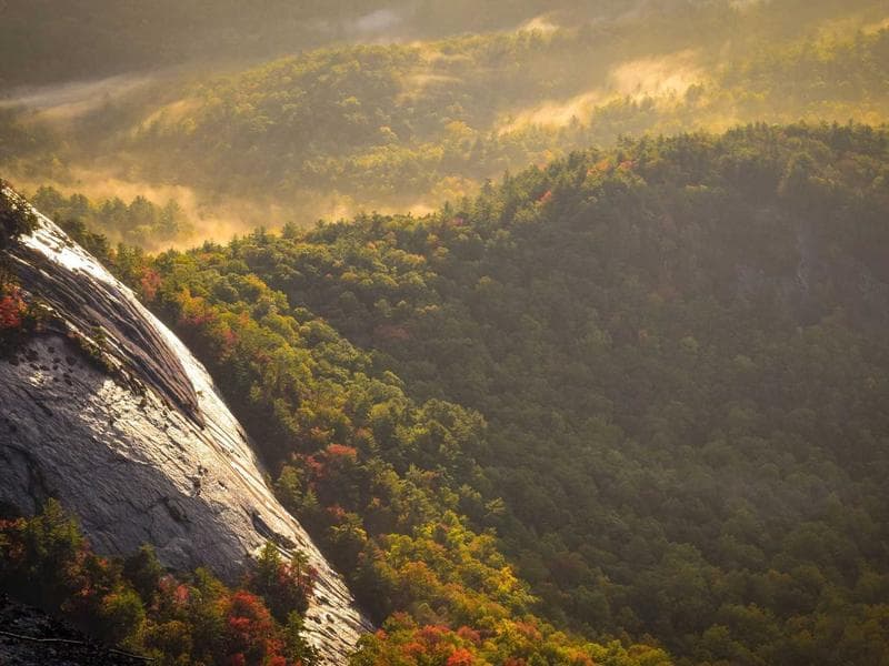 Fitness Resistance Bands Set - Thumbnail 2