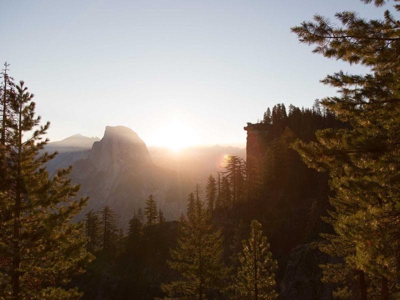 Cinema Tickets 4D Experience