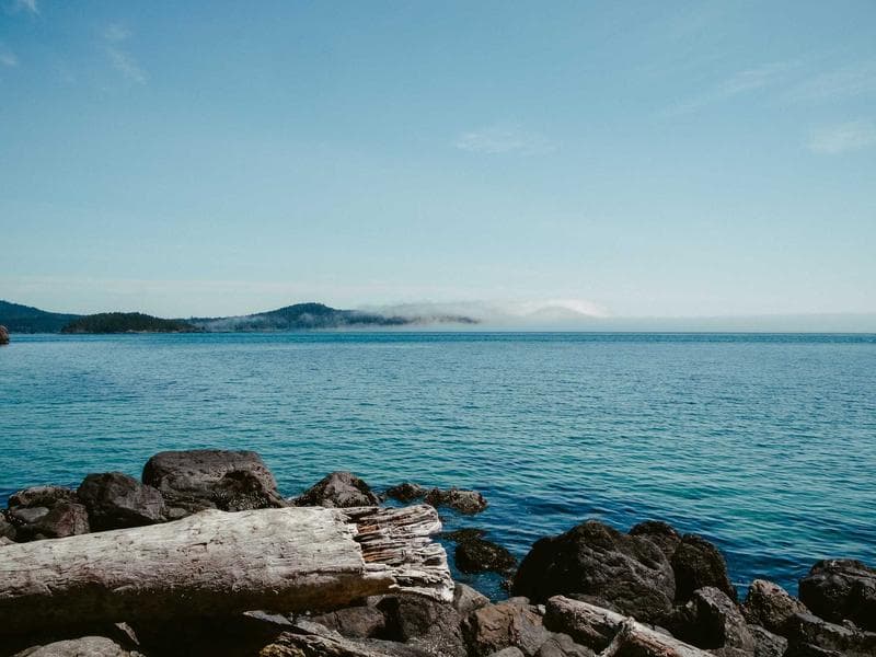 Comedy Show Stand-up Night