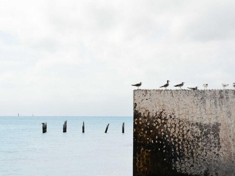 Comedy Show Stand-up Night - Thumbnail 3