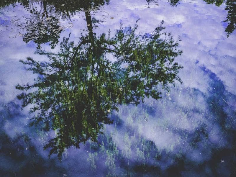 Museum Pass Annual - Thumbnail 3