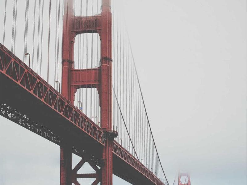 DeWalt Table Saw Professional - Thumbnail 3