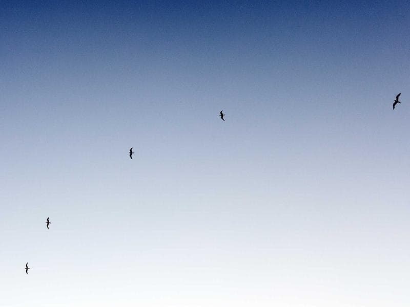 Angle Grinder Makita 125mm