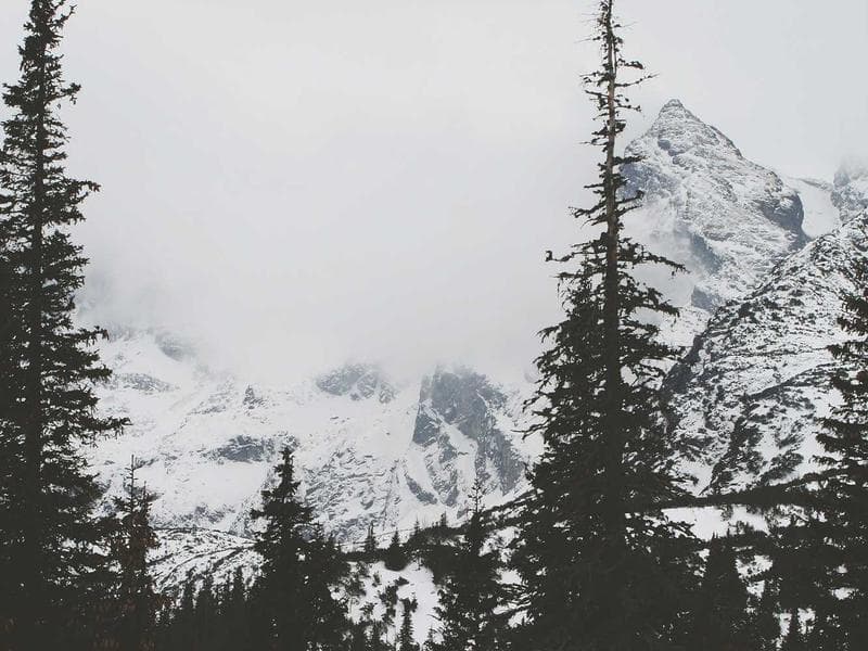 Air Compressor 50L - Thumbnail 2